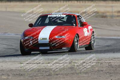 media/Oct-21-2023-Speed Ventures (Sat) [[ddf75163c5]]/Green/Grapvine/